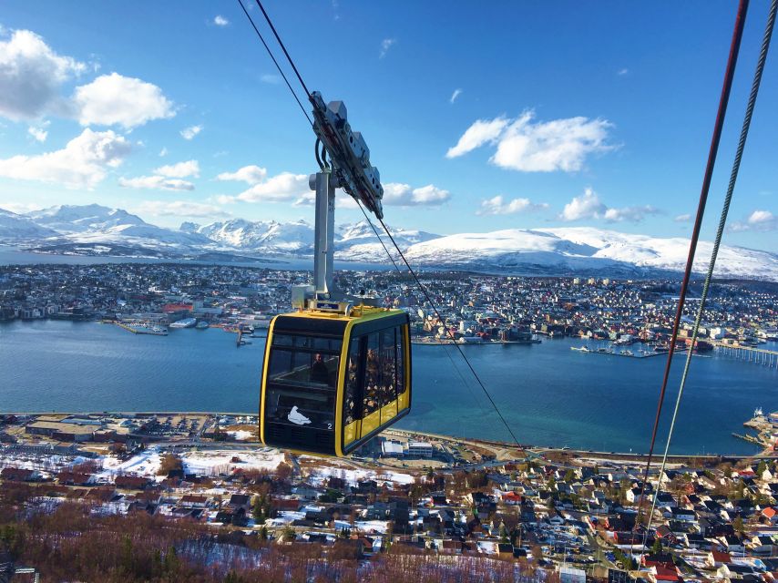 Tromso: Northern Lights Cable Car Excursion - Up the mountain: what the cable car ride adds to the experience