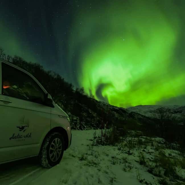 Tromsø: Northern Lights Chase by a comfortable bus - Why a Tromsø Northern Lights Bus Chase Makes Practical Sense
