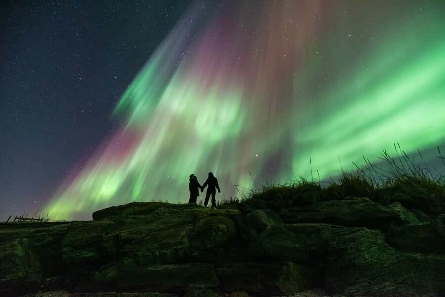 Tromsø: Northern Lights Chase by a comfortable bus - Hot Drinks and Cookies: The Small Inclusions That Save the Night