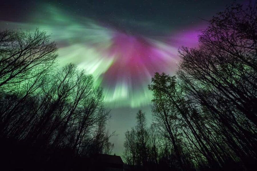 Tromsø: Northern Lights Chase + Free Professional Photos - How the guides make decisions, including driving toward Finland