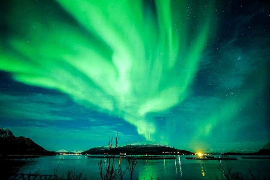 Tromsø: Northern Lights Chase Minibus Tour - Stop by stop in the Arctic: Kilpisjärvi, Hansnes, Sommarøy, Bardu