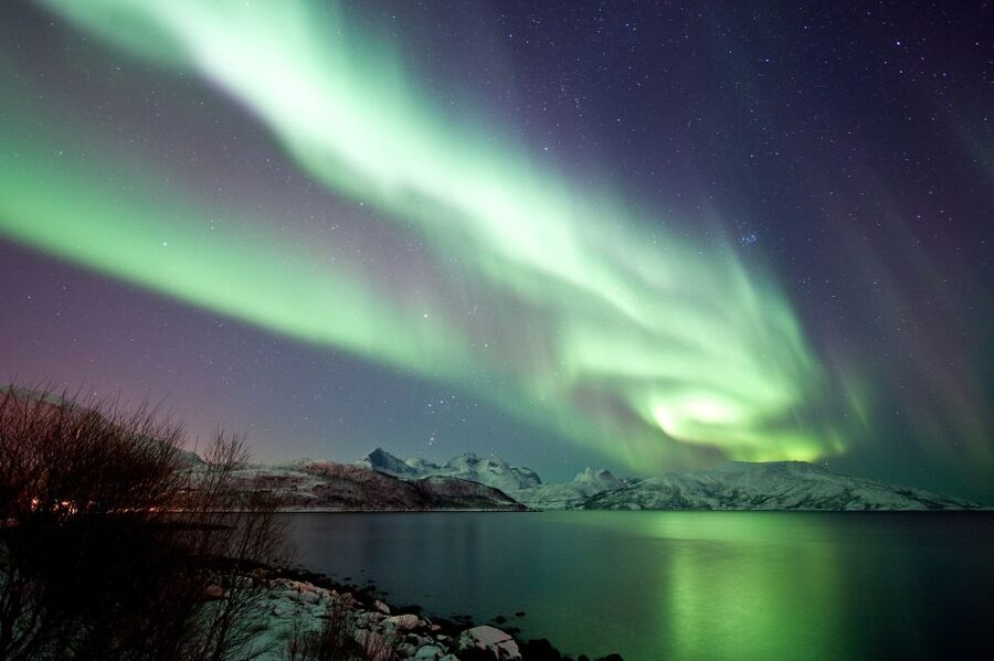 Tromsø: Northern Lights Cruise with 2nd Chance Guarantee - Key things I’d circle before you go