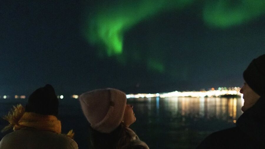 Tromsø: Northern Lights Cruise with 2nd Chance Guarantee - What the cruise experience feels like from start to finish