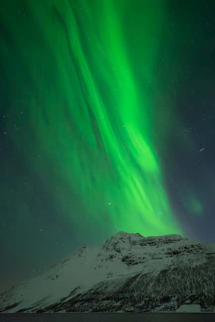 Tromsø: Northern Lights Focus Tour, German/English, minibus, meal - Quick Takes: What I’d Watch For