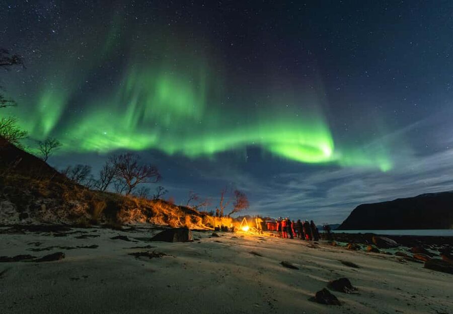 Tromsø: Northern Lights Focus Tour, German/English, minibus, meal - Meeting in the City, Then Moving Fast to Dark-Sky Quiet