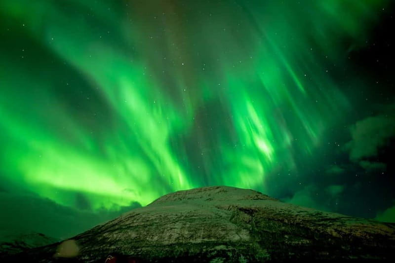 Tromsø: Northern Lights Focus Tour, German/English, minibus, meal - Portrait Photos Included, and You Get the Best Ones Back
