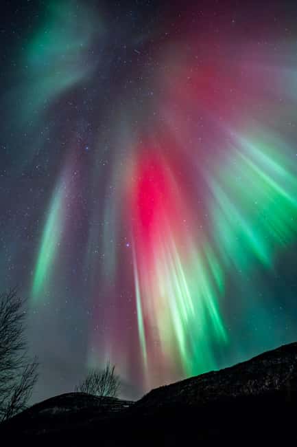 Tromsø: Northern Lights Focus Tour, German/English, minibus, meal - Small-Group Energy and Safety in Snowy Darkness