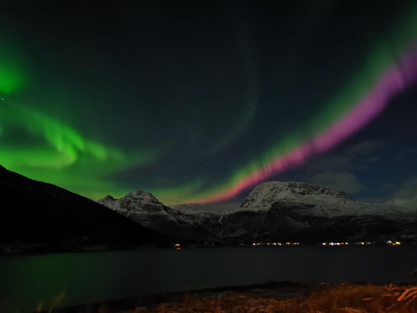 Tromsø: Northern Lights Hunt. Local Guide and Basecamp. - Campfire Snacks and Hot Drinks: Small Comforts That Matter in 0 Degrees
