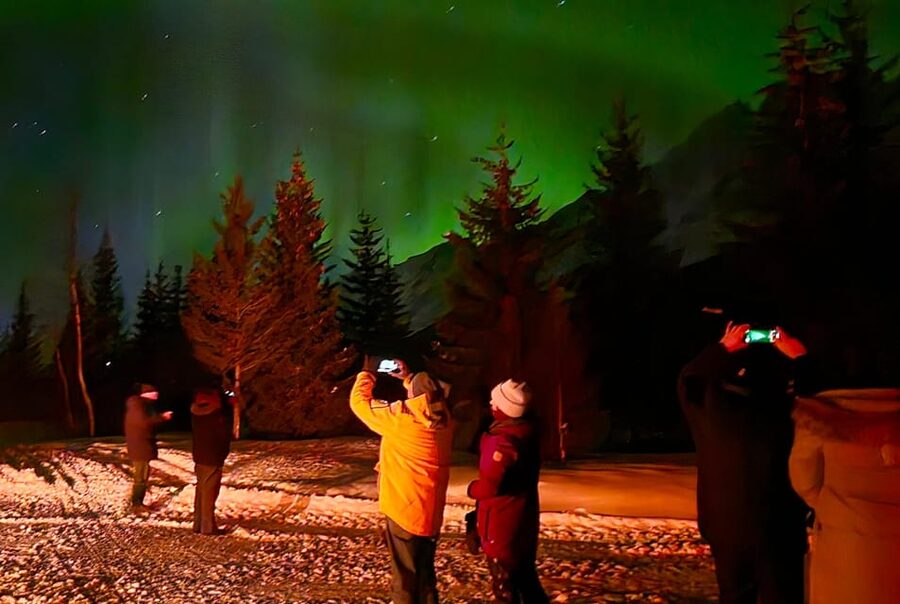 Tromsø: Northern Lights Hunt. Local Guide and Basecamp. - Starting Out at Magic Ice Bar Tromsø, Then Hitting the Night Calm