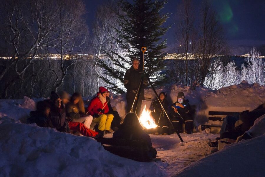 Tromsø: Northern Lights Husky Visit with Traditional Dinner - Key Points You Should Know Before You Go