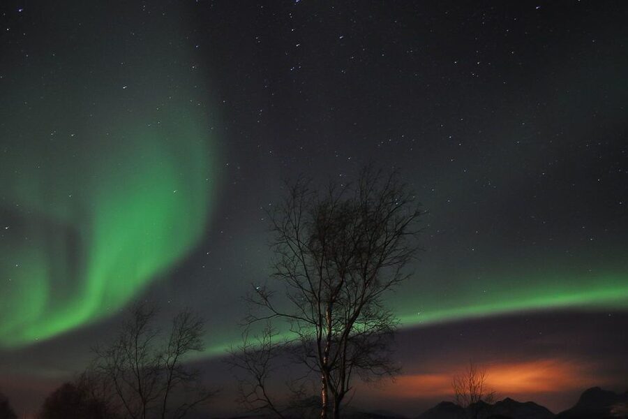 Tromsø: Northern Lights Husky Visit with Traditional Dinner - Bus Ride From Tromsø, and Why “Close” Actually Matters