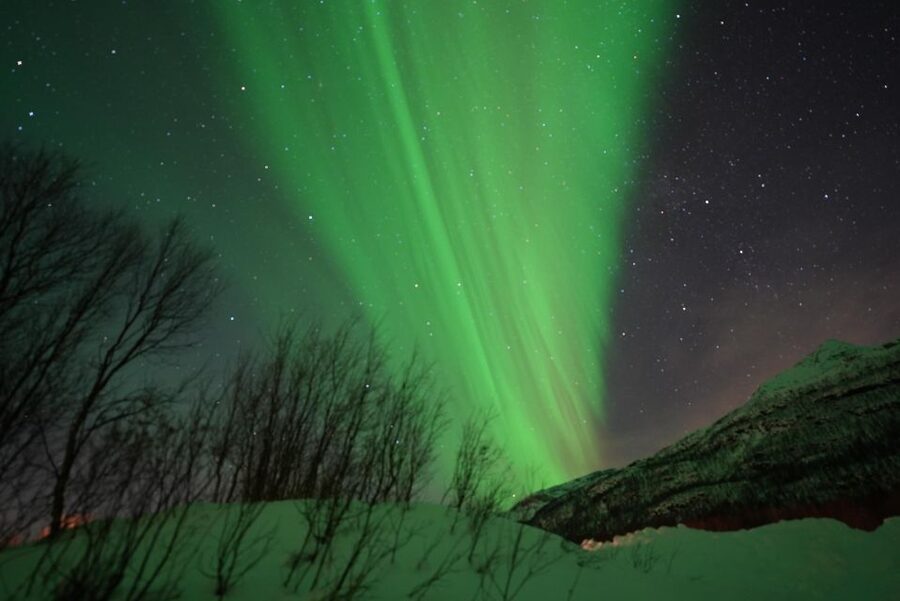 Tromsø: Northern Lights Minibus Small Private Tour Group - Key Things That Make This Tour Work Well