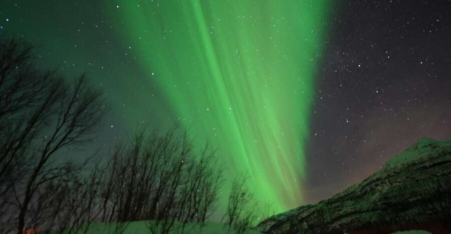 Tromsø: Northern Lights Minibus Small Private Tour Group - Entering The Arctic Night With a Small Private Minibus