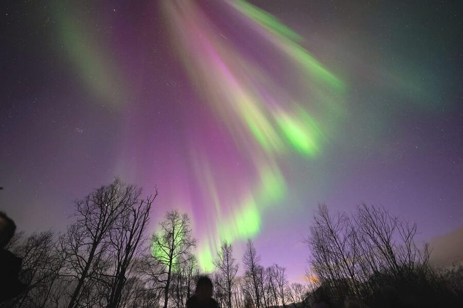 Tromso: Northern Lights Minibus Tour with Campfire - Key Points I’d Tell a Friend Before You Go