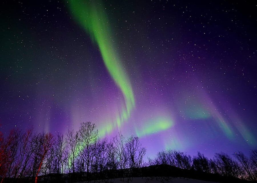Tromso: Northern Lights Minibus Tour with Campfire - Why a Tromsø Minibus Hunt Beats the One-Spot Plan