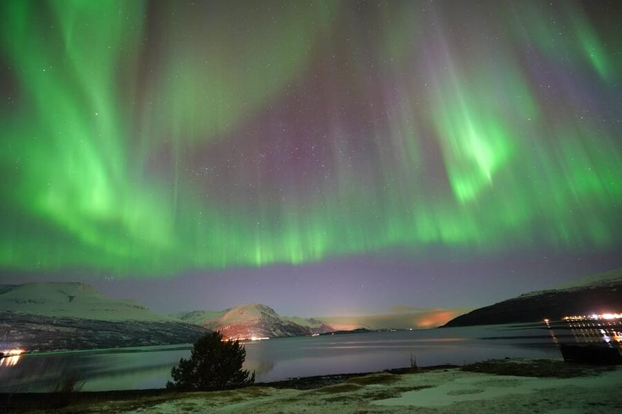 Tromso: Northern Lights Minibus Tour with Campfire - Tromsø Pickup and the Real Flow of an Aurora Night