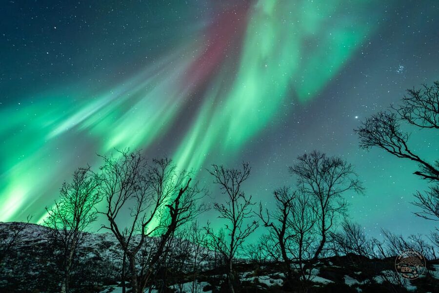 Tromsø: Northern Lights Photography Small-Group Tour - Key Points Before You Go