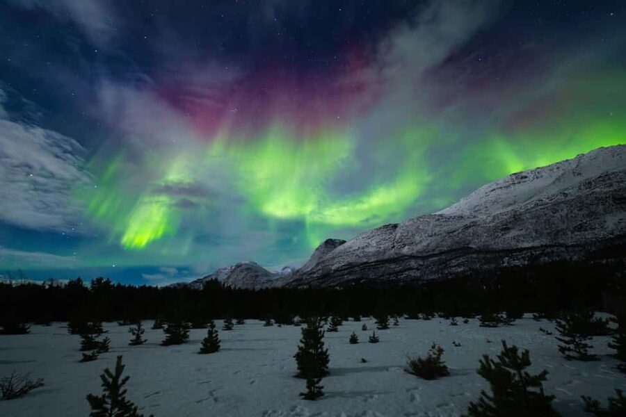 Tromsø: Northern Lights Photography Tour - Comfort Details That Make the Cold Feel Manageable