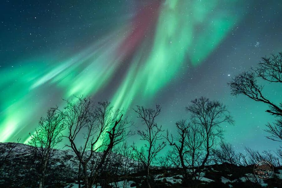Tromsø: Northern Lights Photography Tour - Who This Tour Is Best For (And Who Might Want Another Option)