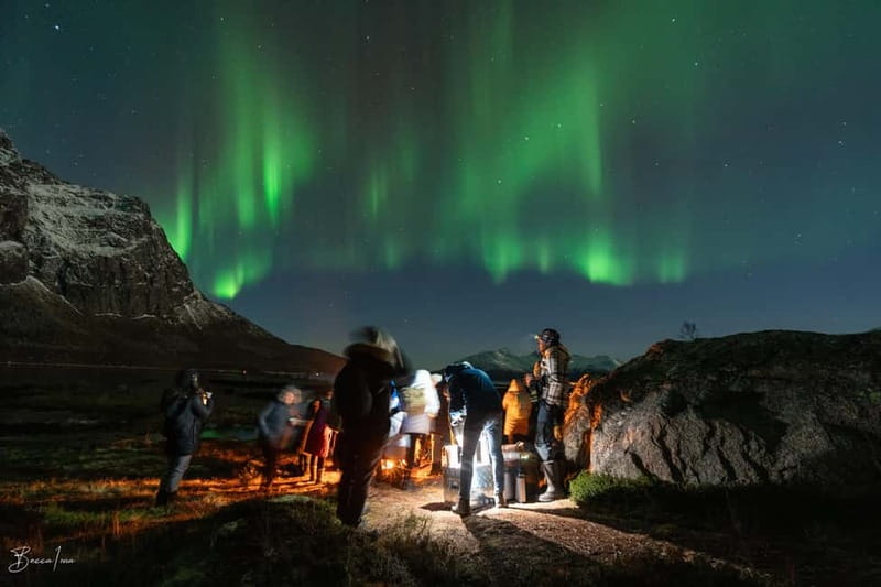 Tromsø: Northern Lights Safari - Why Tromsø Northern Lights Nights Feel Like a Real Aurora Hunt