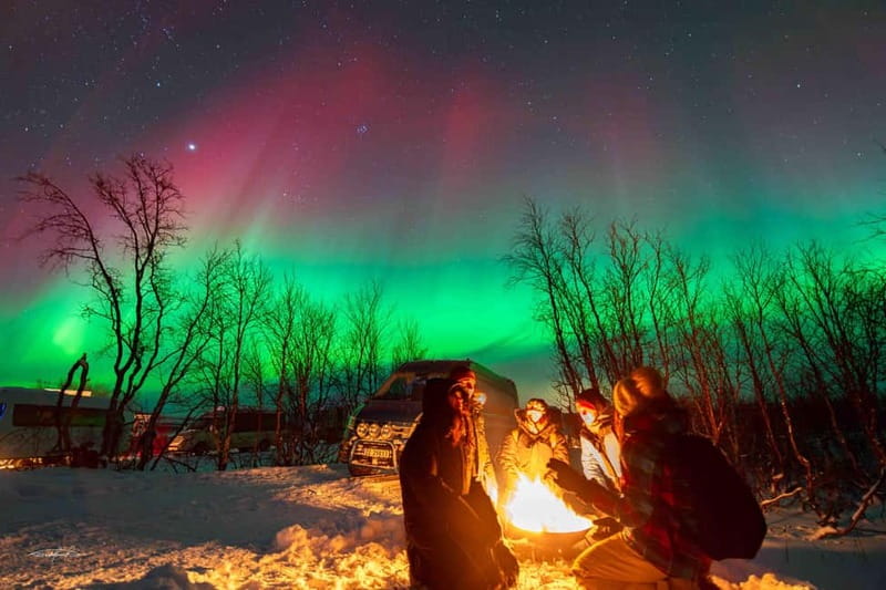 Tromsø: Northern Lights Safari - Languages, Guides, and the Personal Touch