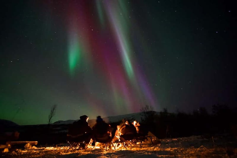 Tromsø: Northern Lights Tour - Thermal suits, headlamps, and tripods: comfort gear that actually helps you see the lights