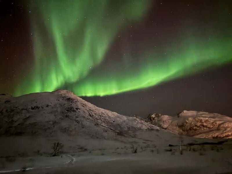 Tromsø: Northern Lights Tour - Guides who hunt smarter, from Marius to Hassan