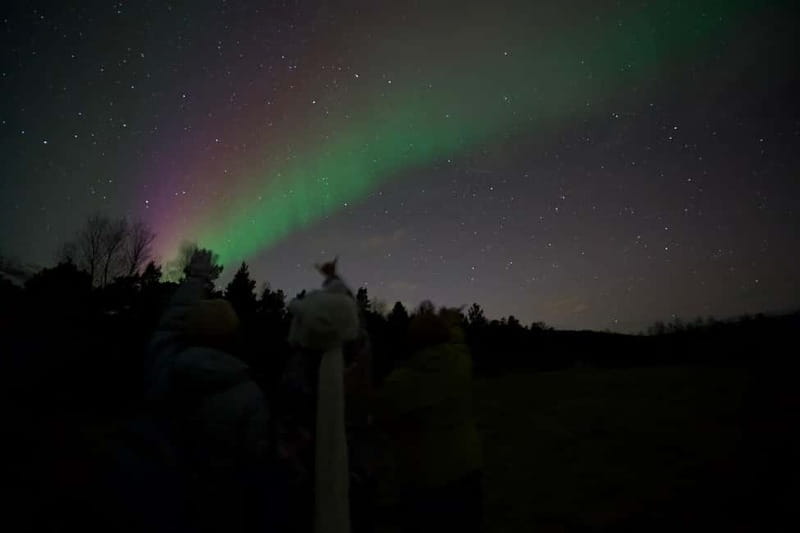 Tromsø: Northern Lights Tour - Bathrooms, cold reality, and what to bring so you do not suffer