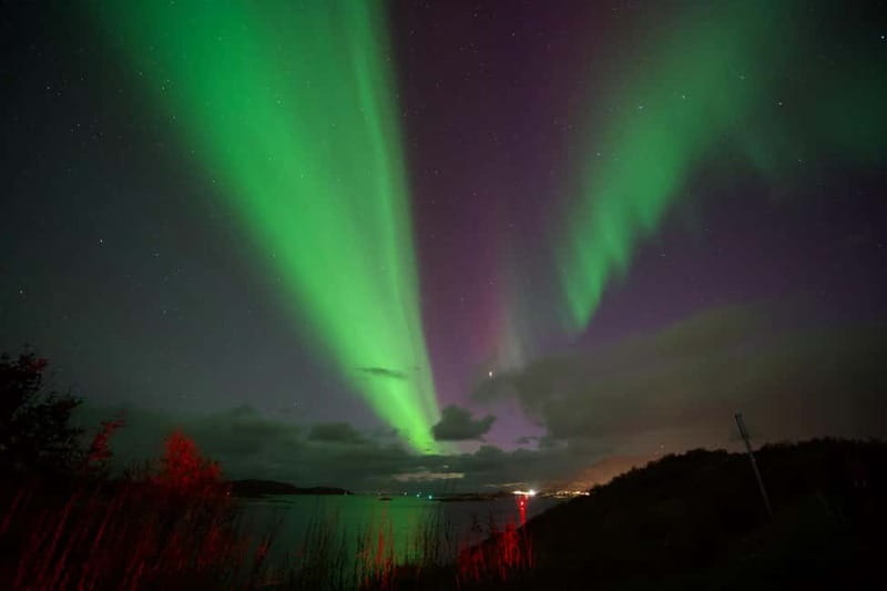 Tromsø: Northern Lights Tour - Price and value: is $206 worth it?
