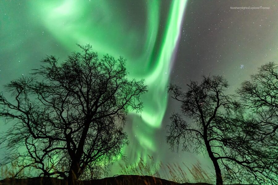 Tromsø: Northern Lights Tour w/Photo, Suits and Local Guide - What to pack so you can actually enjoy the hunt
