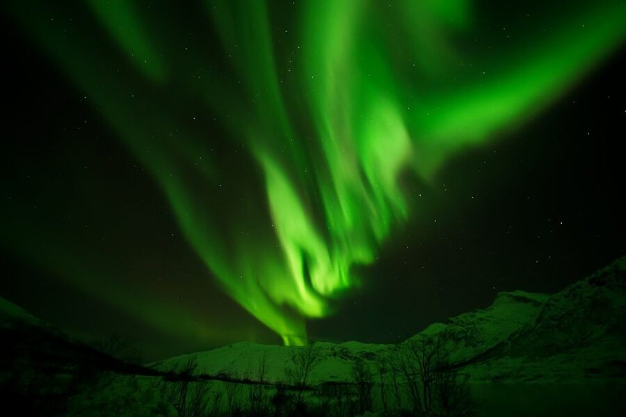 Tromsø: Northern Lights Tour with Free Professional Portrait - Photography coaching plus a free pro portrait you get the next day