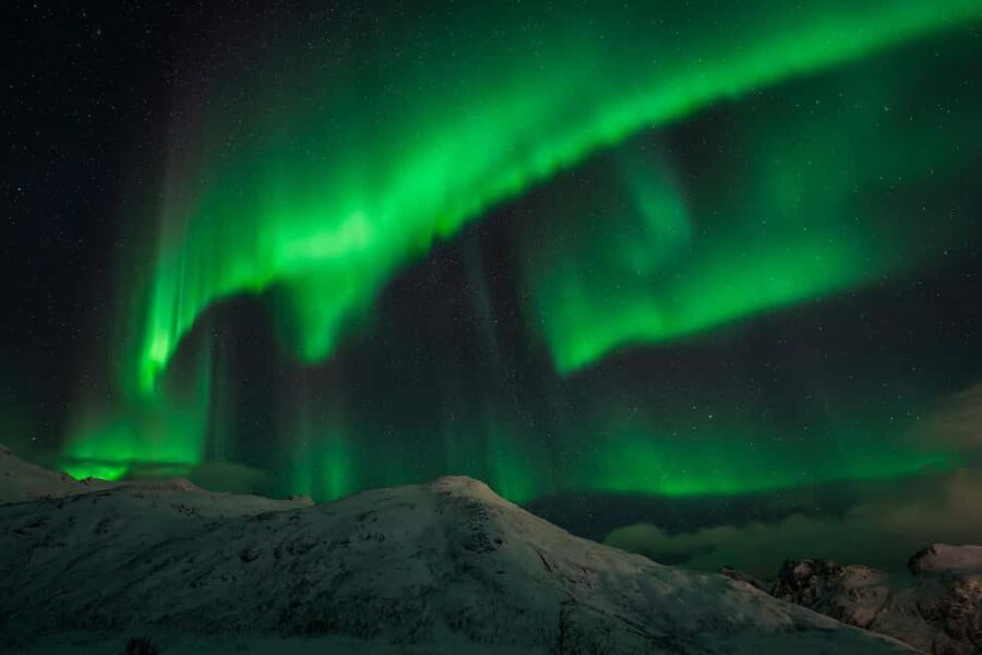 Tromsø: Northern Lights Tour with Guaranteed Sightings - What the 8-Hour Night Feels Like, From Arrival to Final Return