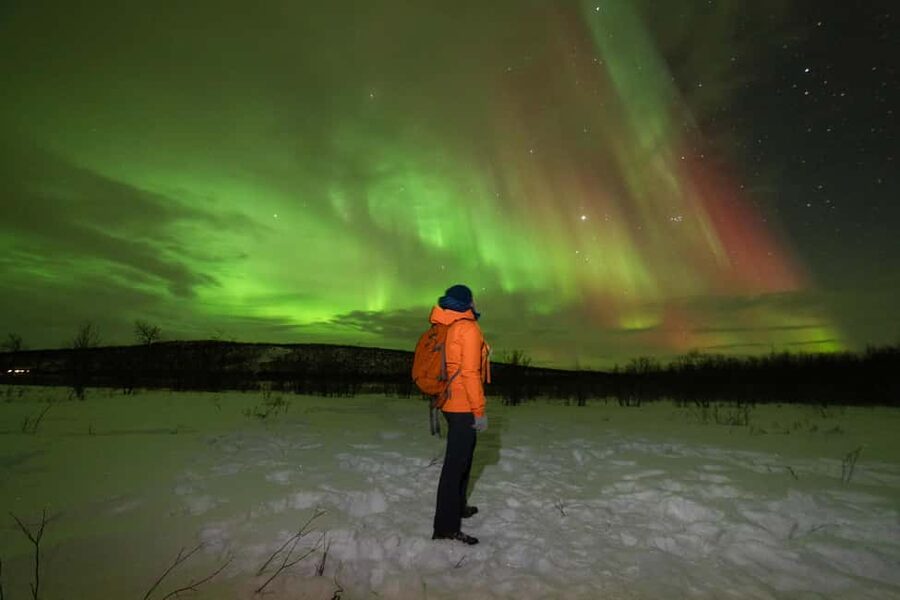 Tromsø: Northern Lights tour with local experts - What the 6-hour plan looks like in real time