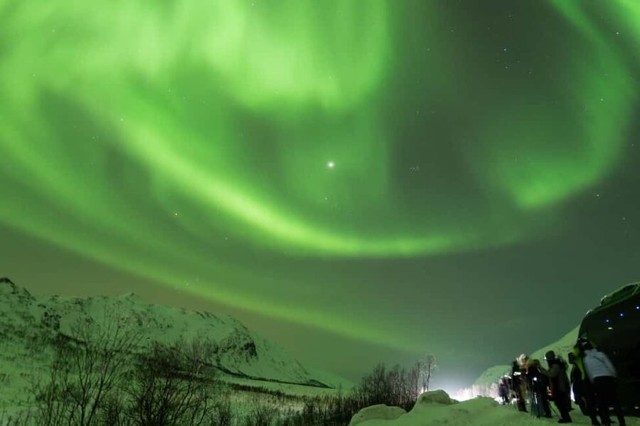 Tromsø: Northern Lights tour with local experts - Professional Northern Lights photography, and how the pricing works