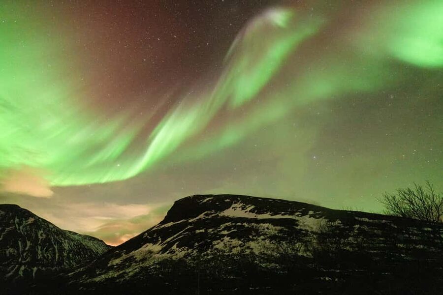 Tromsø: Northern Lights tour with local experts - Guides and the hunt: what you should expect from the team