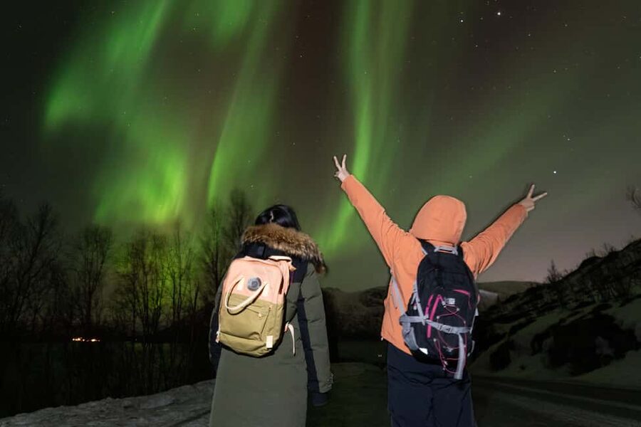 Tromsø: Northern Lights tour with local experts - Timing tips so you do not miss the best windows
