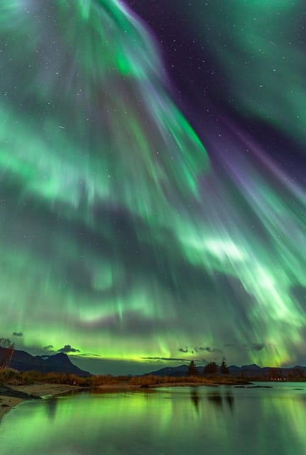 Tromsø: Northern Lights Tour with Local Guide and Photos - Why this Tromsø Northern Lights chase feels like a real local night