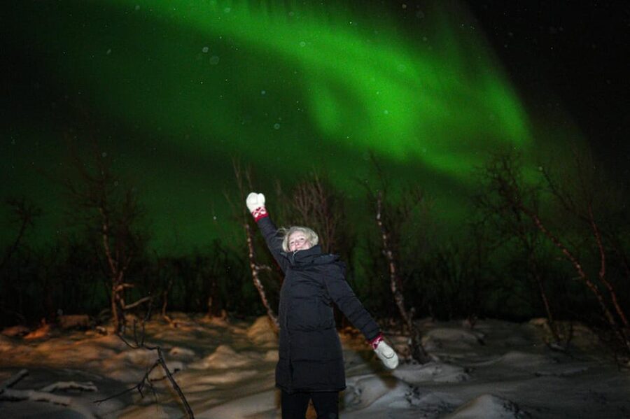 Tromsø: Northern Lights Tour with Local Guide and Photos - Group size, pacing, and getting dropped off in Tromsø without stress