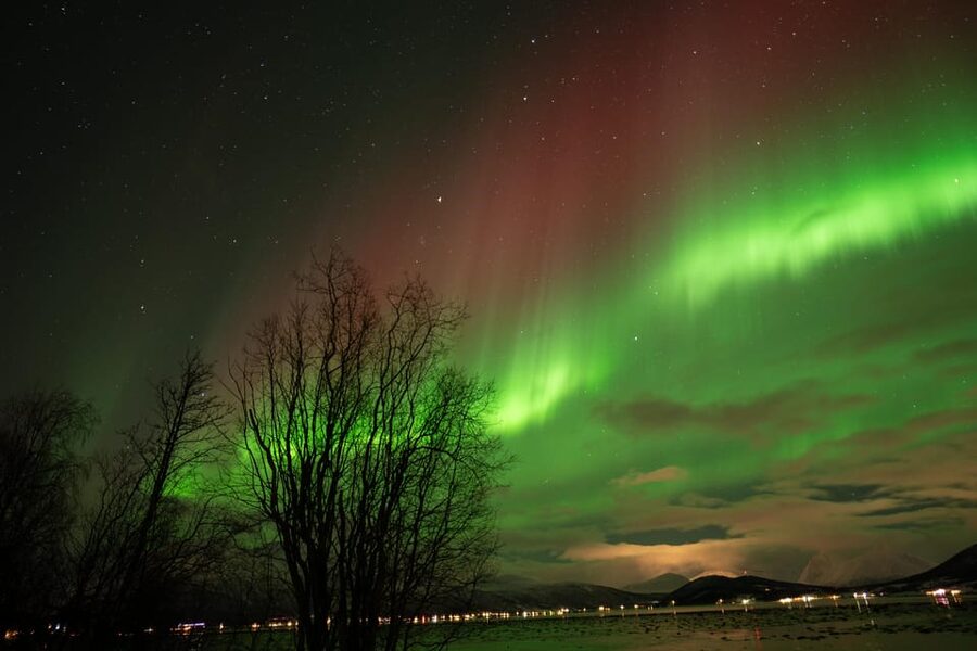 Tromsø: Northern Lights Tour with Local Guide and Photos - Should you book this Tromsø Northern Lights tour?