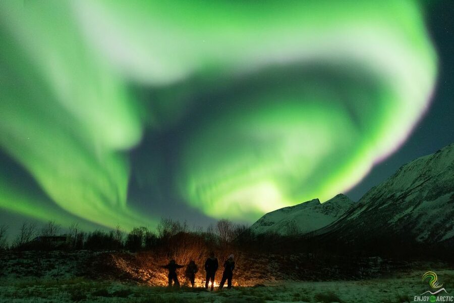 Tromsø: Northern Lights Trip with Campfire and Snacks - Meeting at Magic Ice Bar Tromsø, Then Heading for Dark Skies