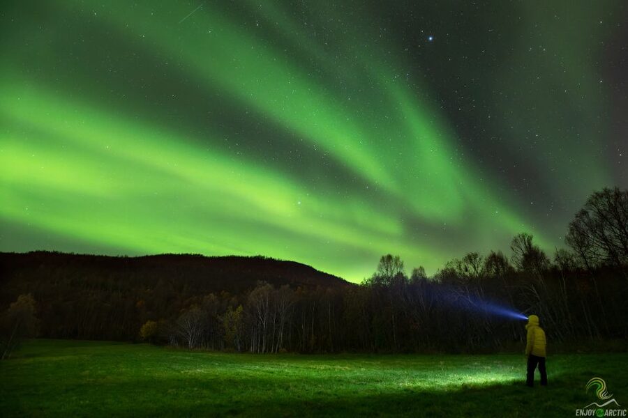 Tromsø: Northern Lights Trip with Campfire and Snacks - Aurora Camera Coaching: Tripods, Settings, and Professional Shots