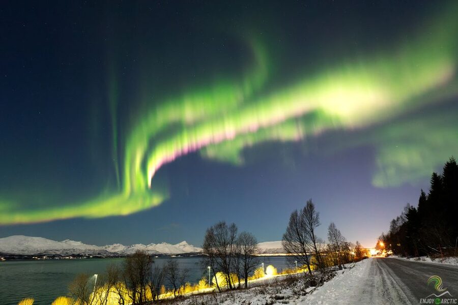 Tromsø: Northern Lights Trip with Campfire and Snacks - Where the Night Ends: Back in Tromsø With Photos in Hand