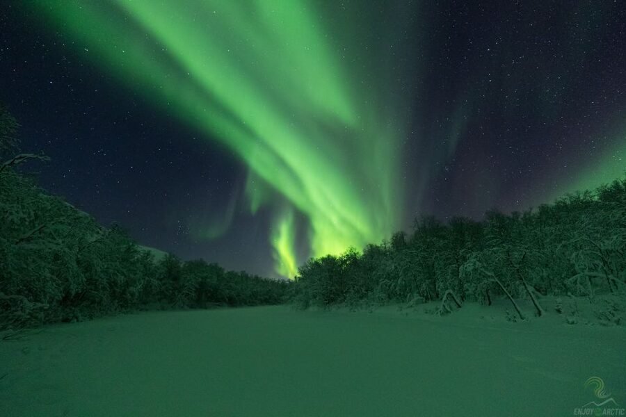 Tromsø: Northern Lights Trip with Campfire and Snacks - Should You Book This Tromsø Northern Lights Campfire Trip?