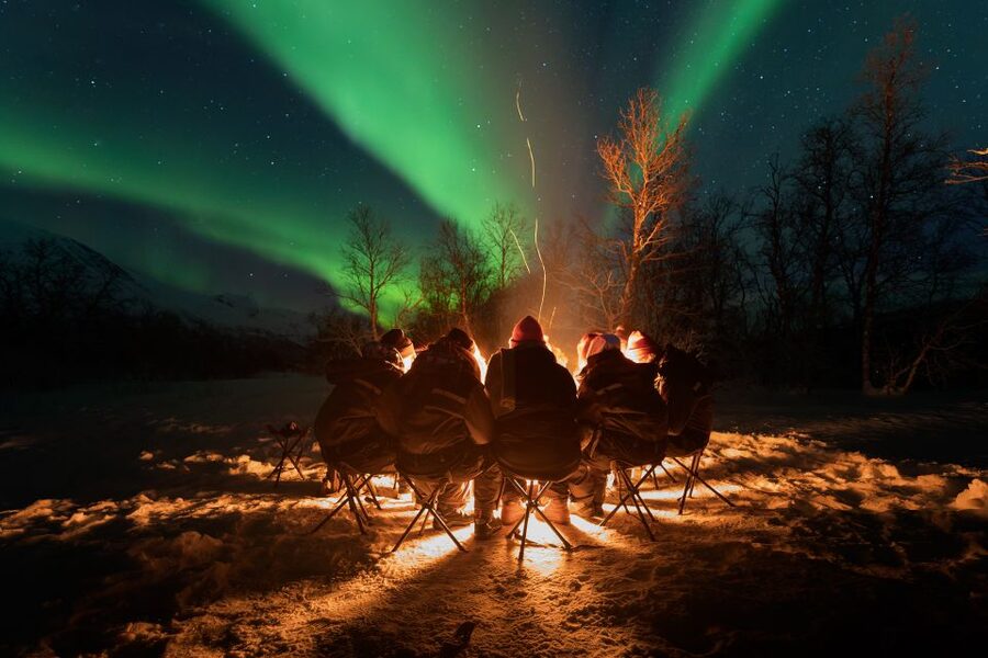 Tromsø: Northern Lights Trip with Campfire and Snacks - Campfire Snacks in the Arctic: Crispbread, Carrot Cake, and Hot Drinks