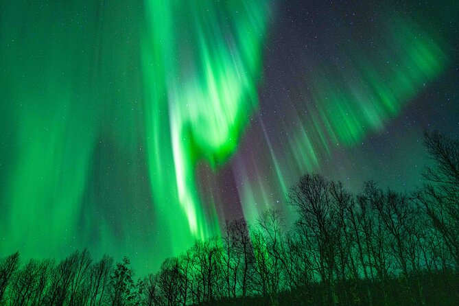 Tromsø Northern Lights with Campfire and Professional Photos - Tromsø Route Logic: Coast to Mainland to Even Finland