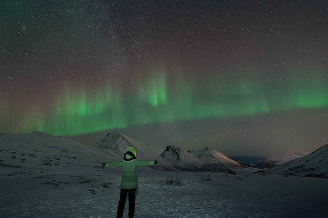 Tromsø Northern Lights with Campfire and Professional Photos - When the Aurora Is Dim, Then Suddenly On
