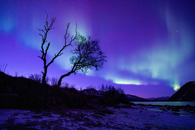 Tromsø Northern Lights with Campfire and Professional Photos - Professional Photos: Great Help, Weather Limits