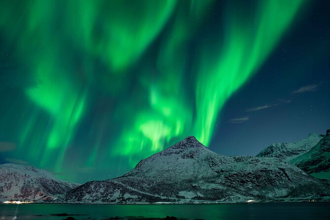 Tromsø Northern Lights with Campfire and Professional Photos - Value Check: What You Get for $310.85