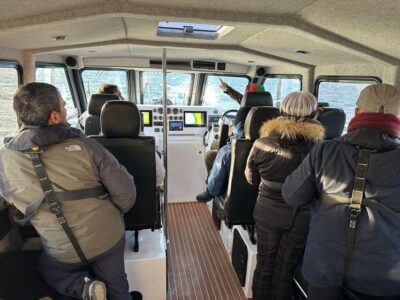 Orca and Whale Watching comfort heated boat Trip