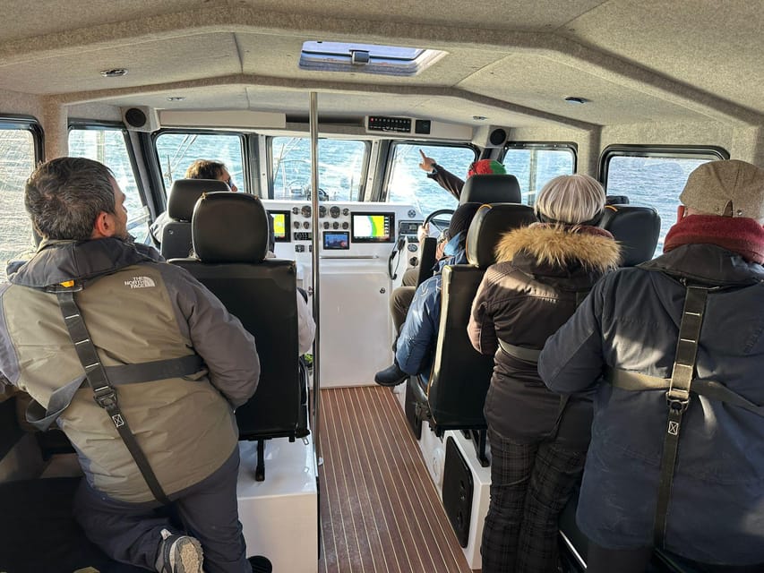 Tromsø: Orca and Whale Watching comfort heated boat Trip - A heated, stable boat changes the whole whale watching game